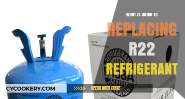 Eco-Friendly Alternatives: What’s Replacing R22 Refrigerant in Modern Systems
