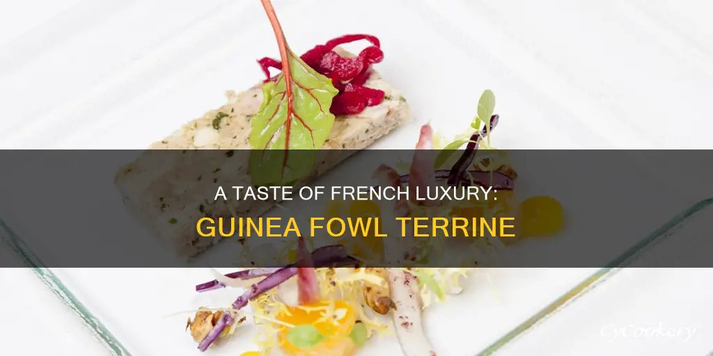 what is guinea fowl terrine