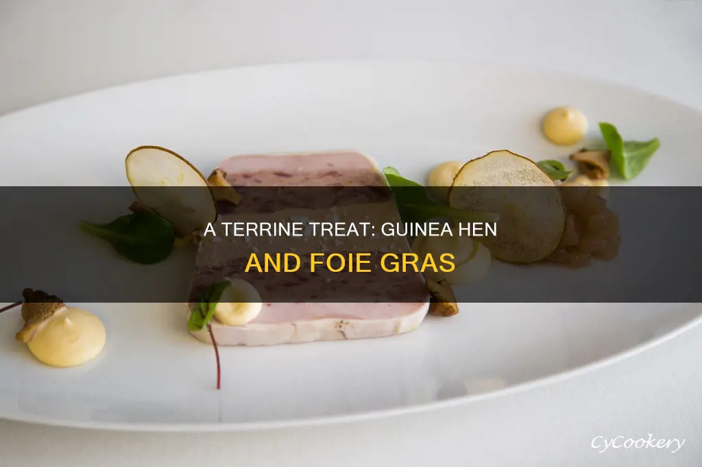 what is guinea hen and foie gras terrine