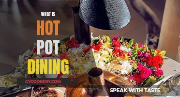 Hot Pot Harmony: A Beginner's Guide to the Ultimate Social Dining Experience