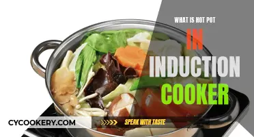 Hot Pot Induction: Revolutionizing the Traditional Hot Pot Experience