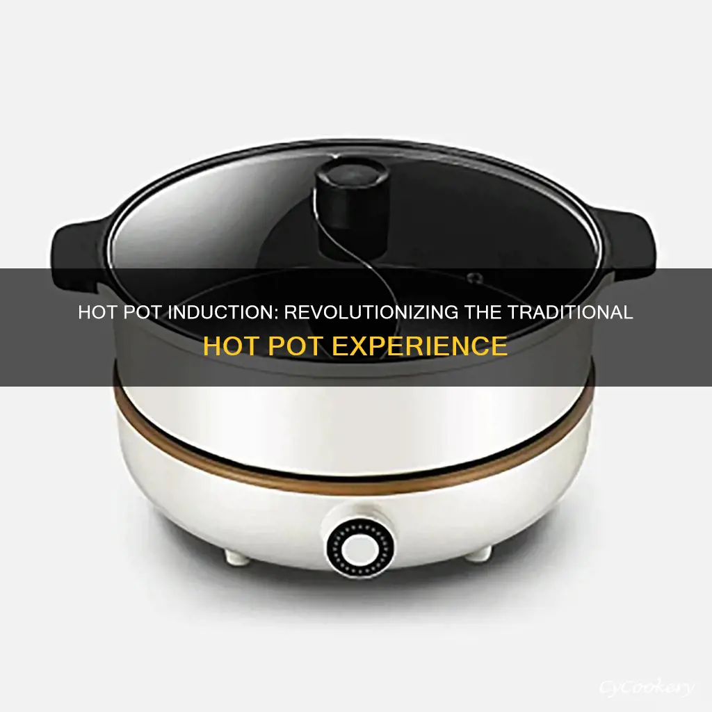 what is hot pot in induction cooker