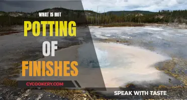 The Art of Hot Potting: Exploring the World of Finish Techniques