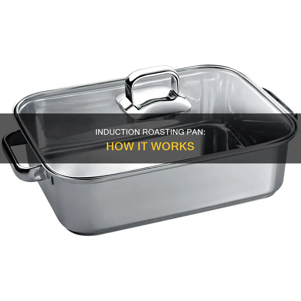 what is induction roasting pan