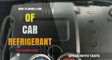 Unveiling the Contents: What's Inside a Can of Car Refrigerant?