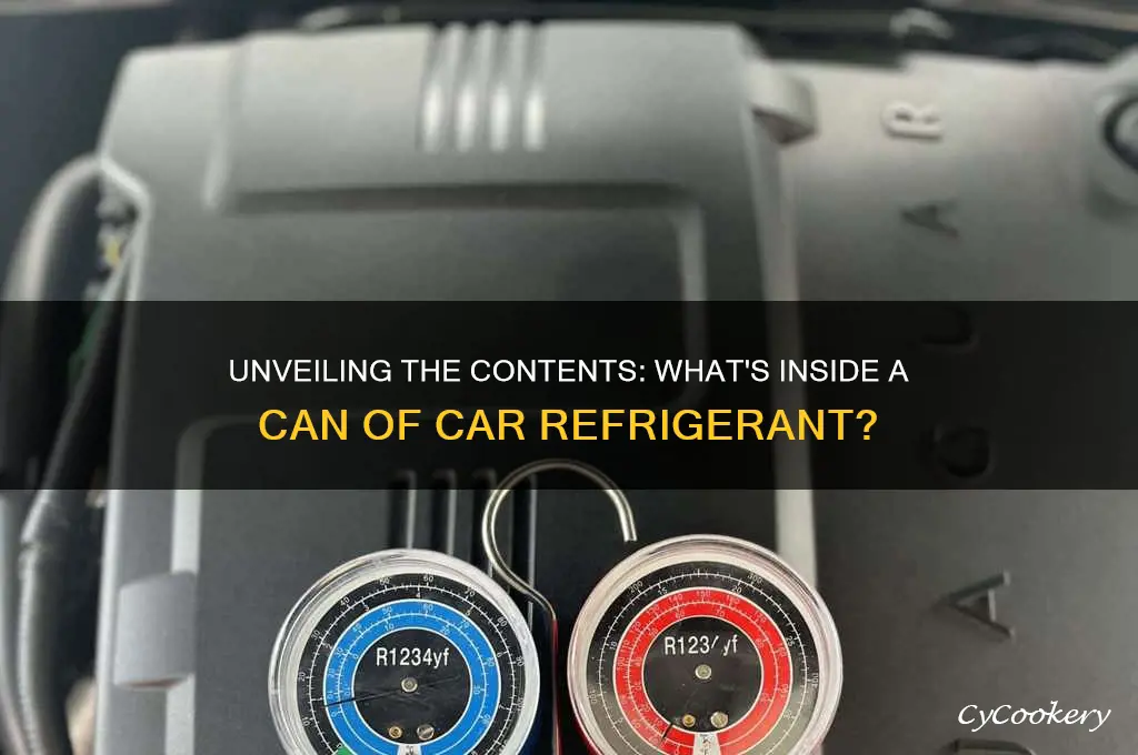 what is inside a can of car refrigerant