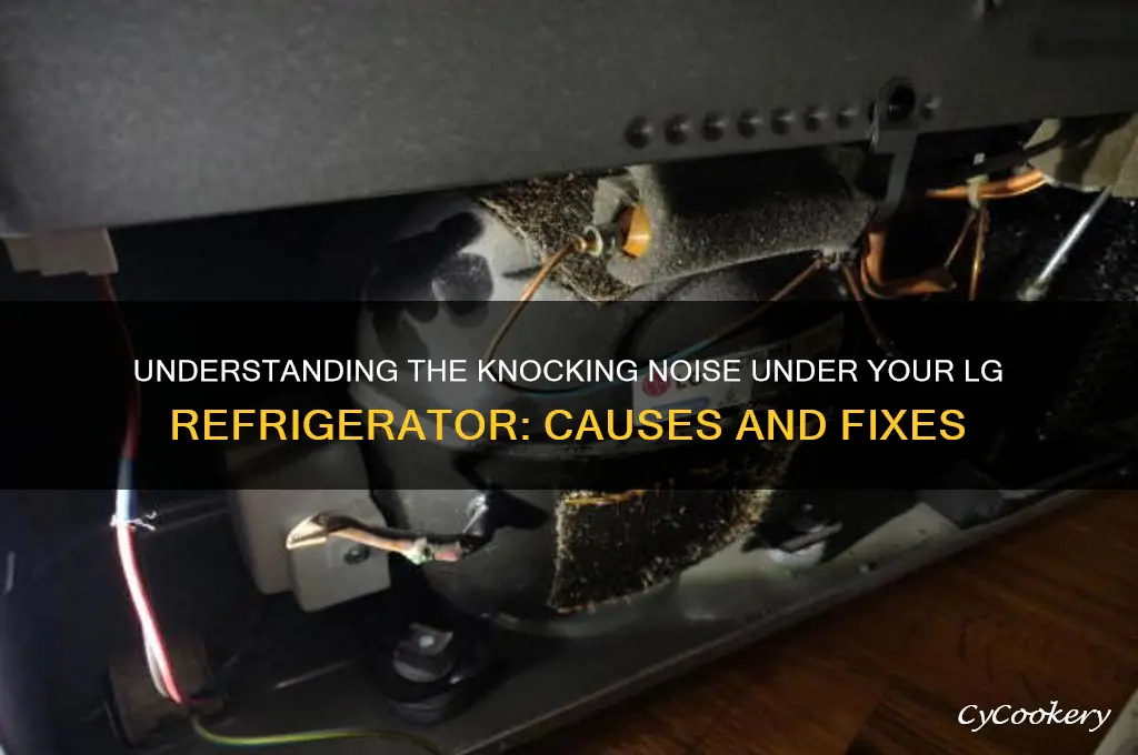 what is knocking noise under lg refrigerator