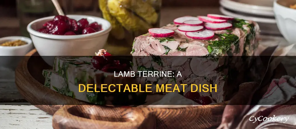 what is lamb terrine