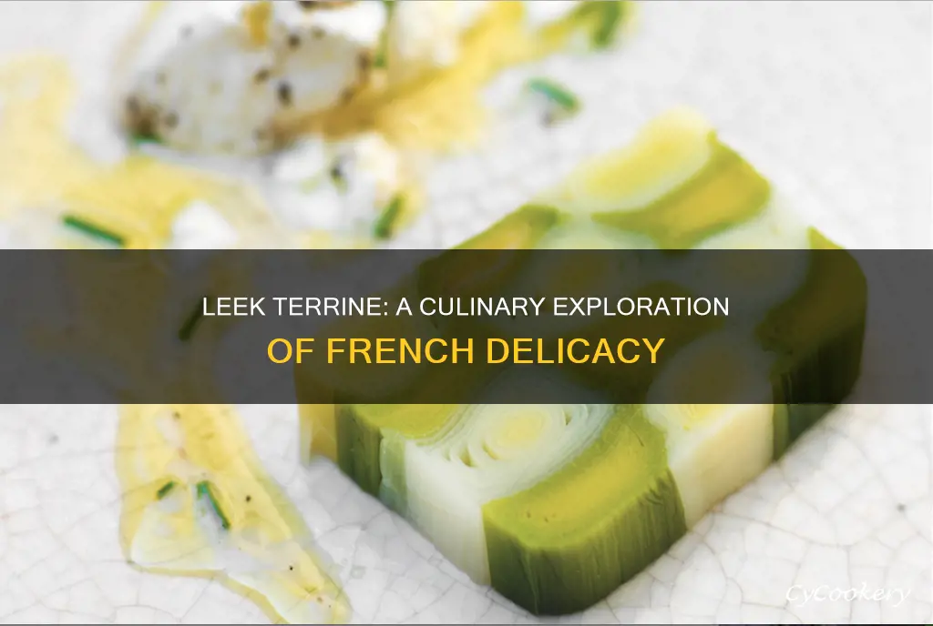 what is leek terrine