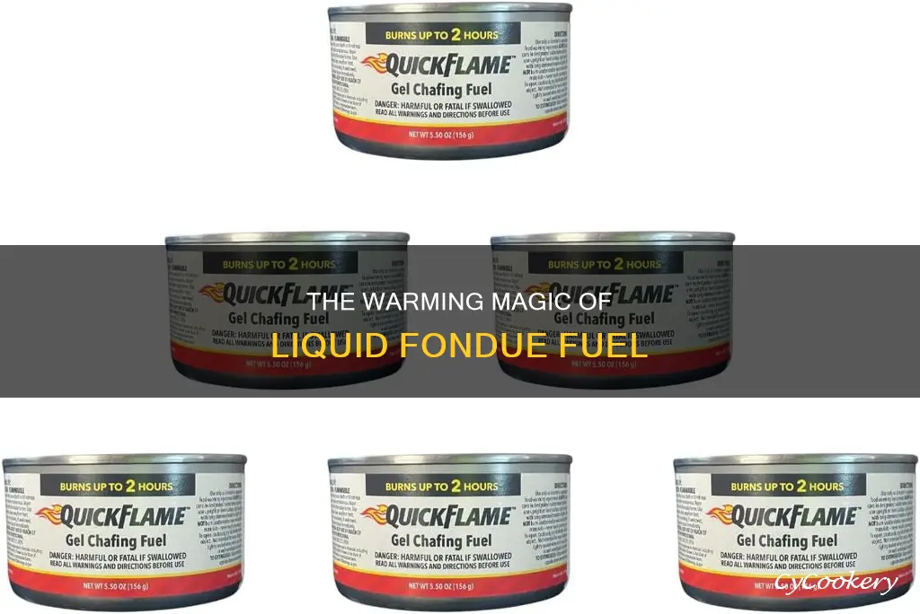 what is liquid fondue fuel