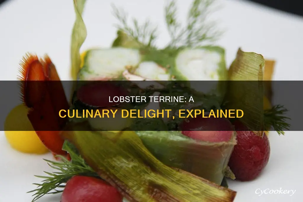 what is lobster terrine