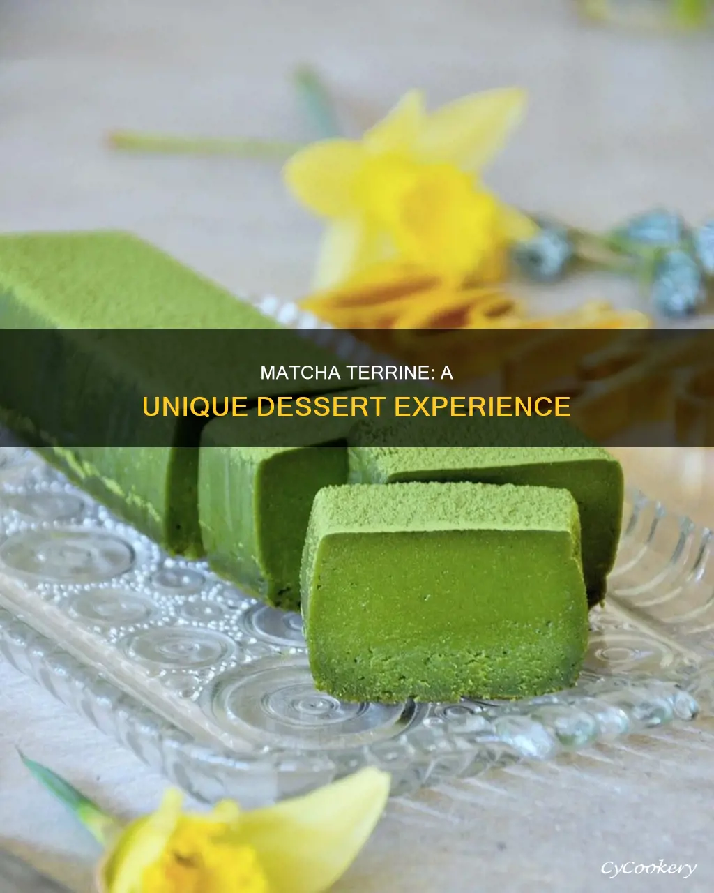 what is matcha terrine