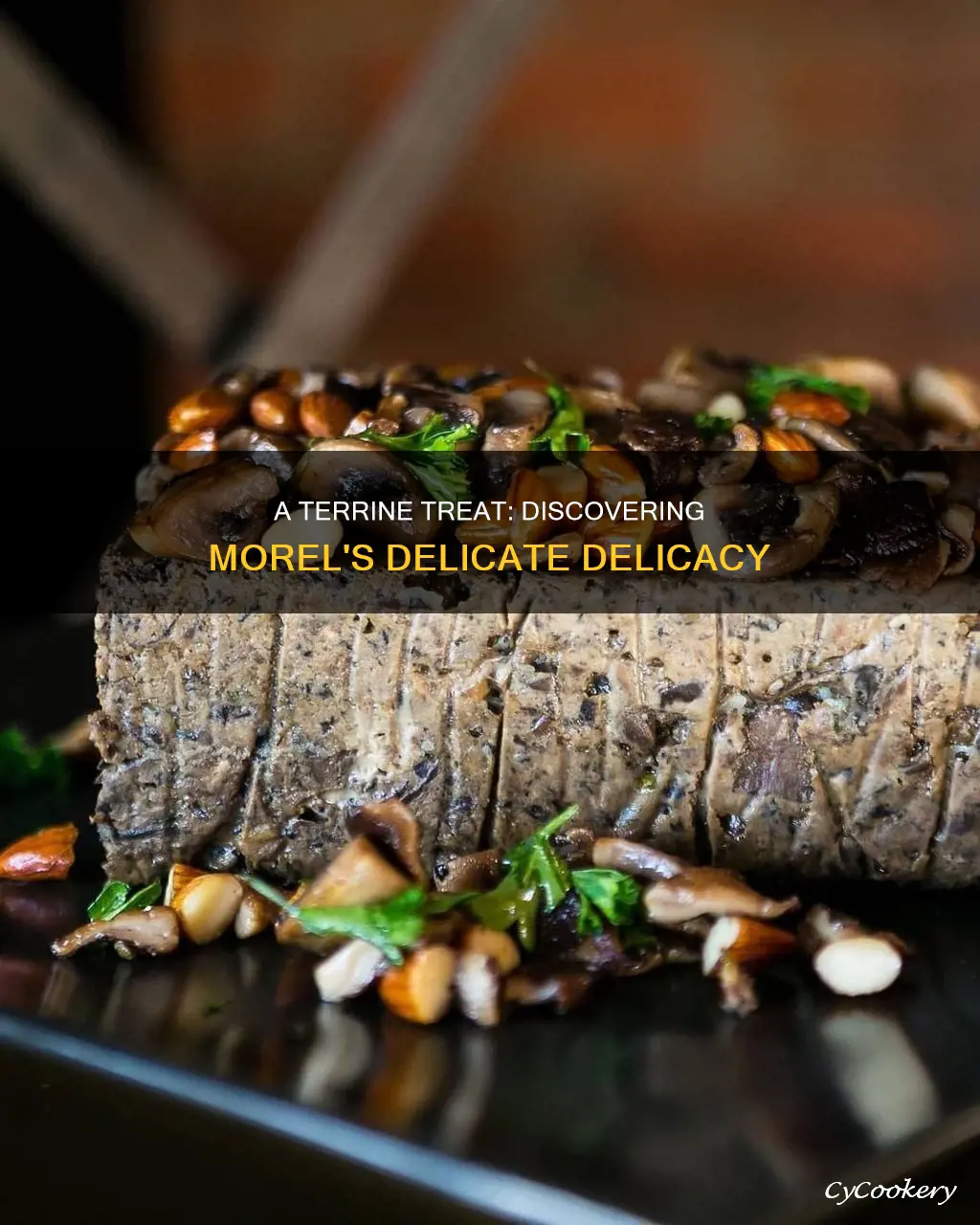 what is morel terrine