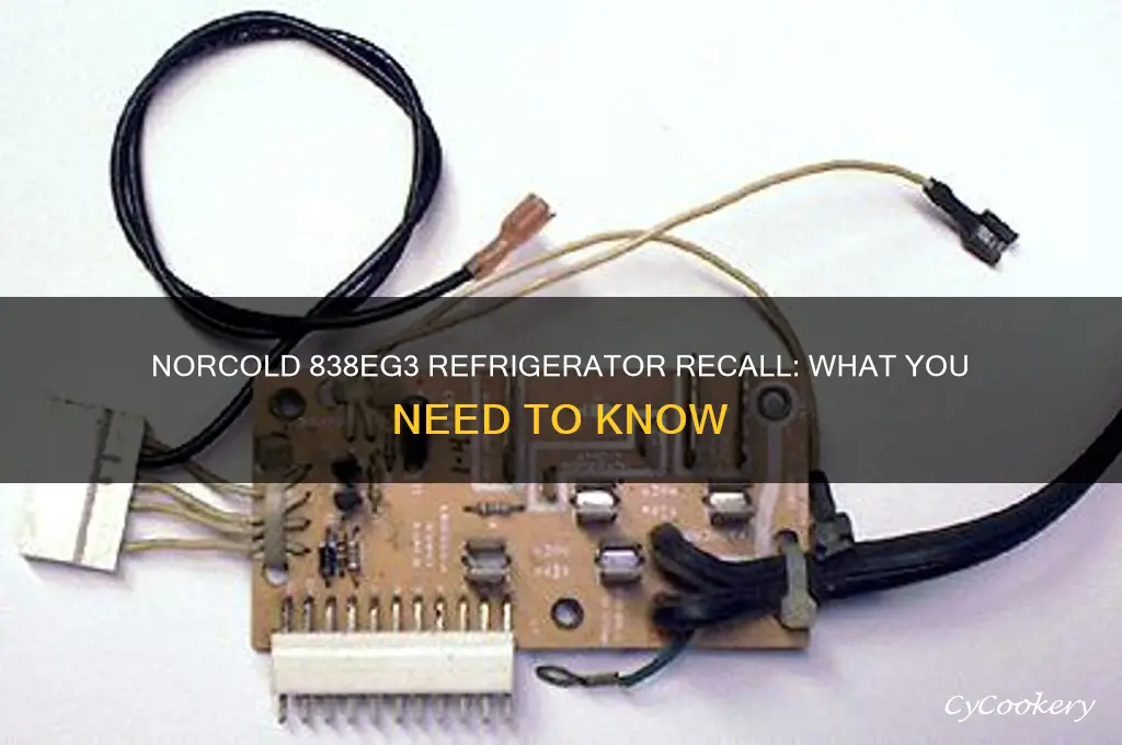 what is norcold recall on 838eg3 refrigerator