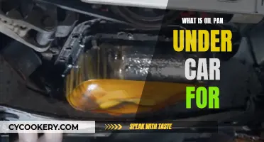 The Car's Essential Oil Pan: What's Its Function?