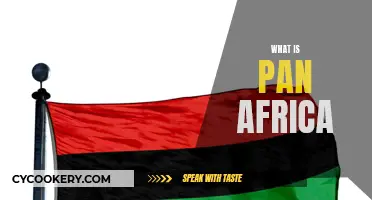 Pan-Africanism: A United Africa's Past, Present, and Future