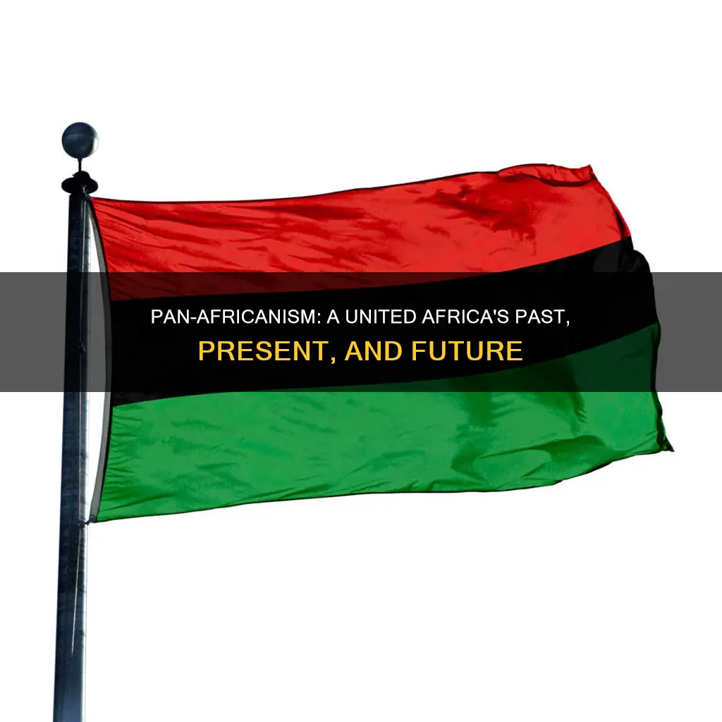 what is pan africa