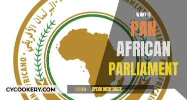 Understanding the Pan-African Parliament: A Unified Voice for Africa