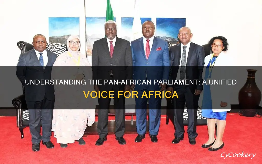 what is pan african parliament