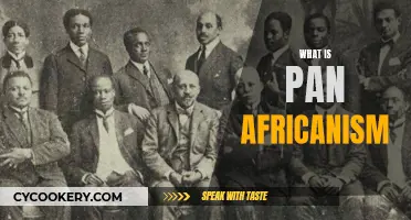 Understanding Pan-Africanism: A United Africa and Diaspora