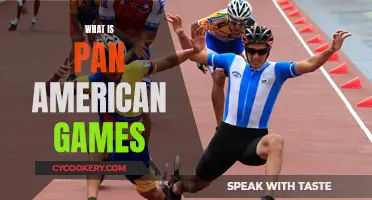 Pan American Games: A Continental Sports Festival