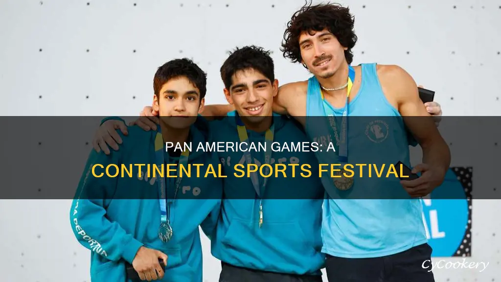 what is pan american games