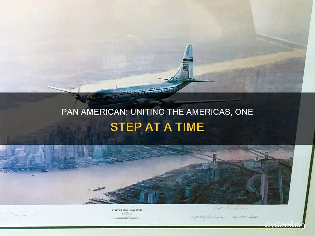 what is pan american