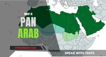 The Pan-Arab Identity: A United Arab Vision