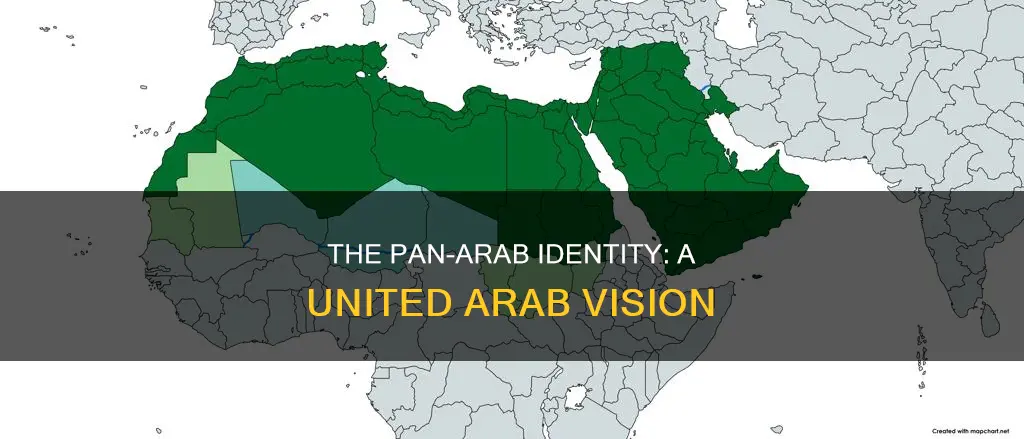what is pan arab