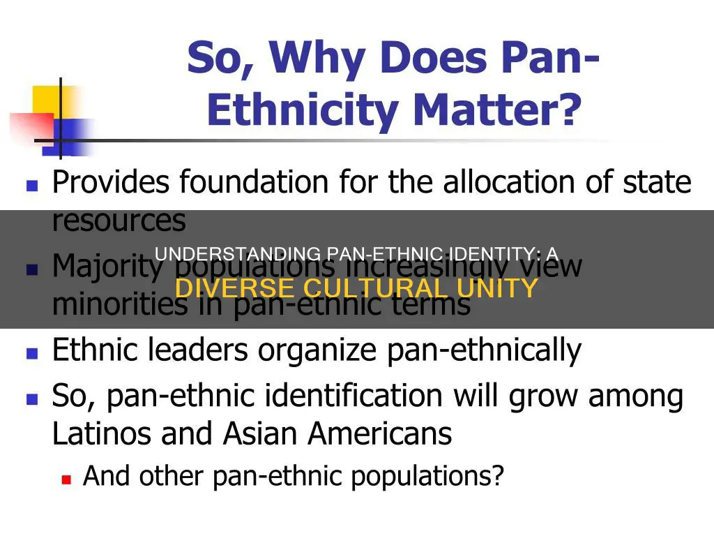 what is pan ethnic