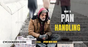 The Art of Panhandling: Begging on Streets Explained