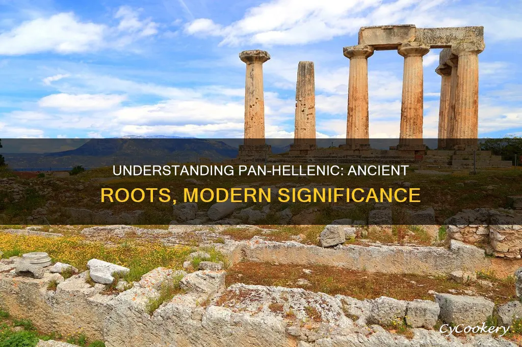 what is pan-hellenic