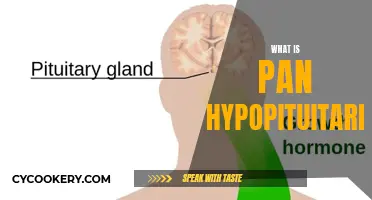 Understanding Pan Hypopituitarism: A Complex Hormonal Disorder