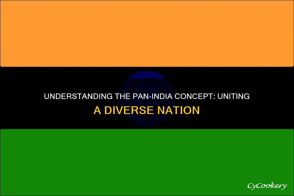 what is pan india