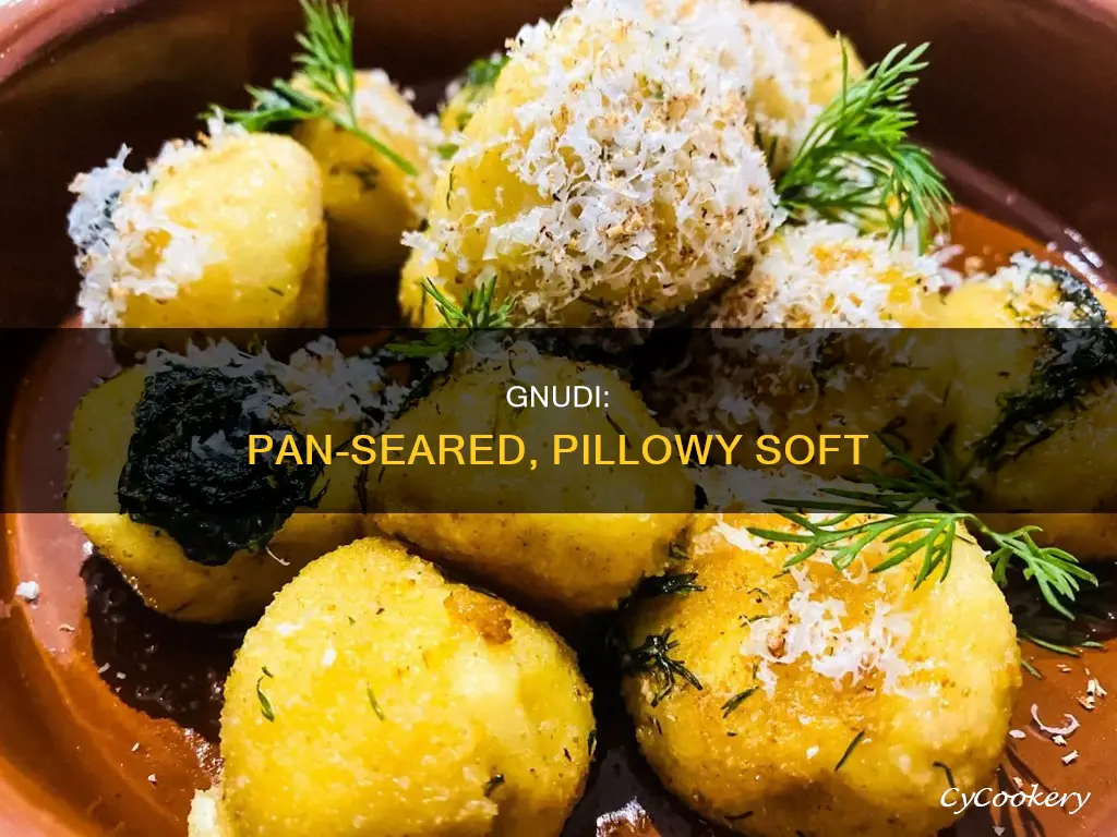 what is pan seared gnudi