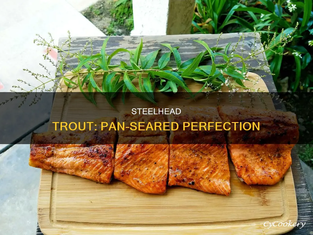 what is pan seared steelhead