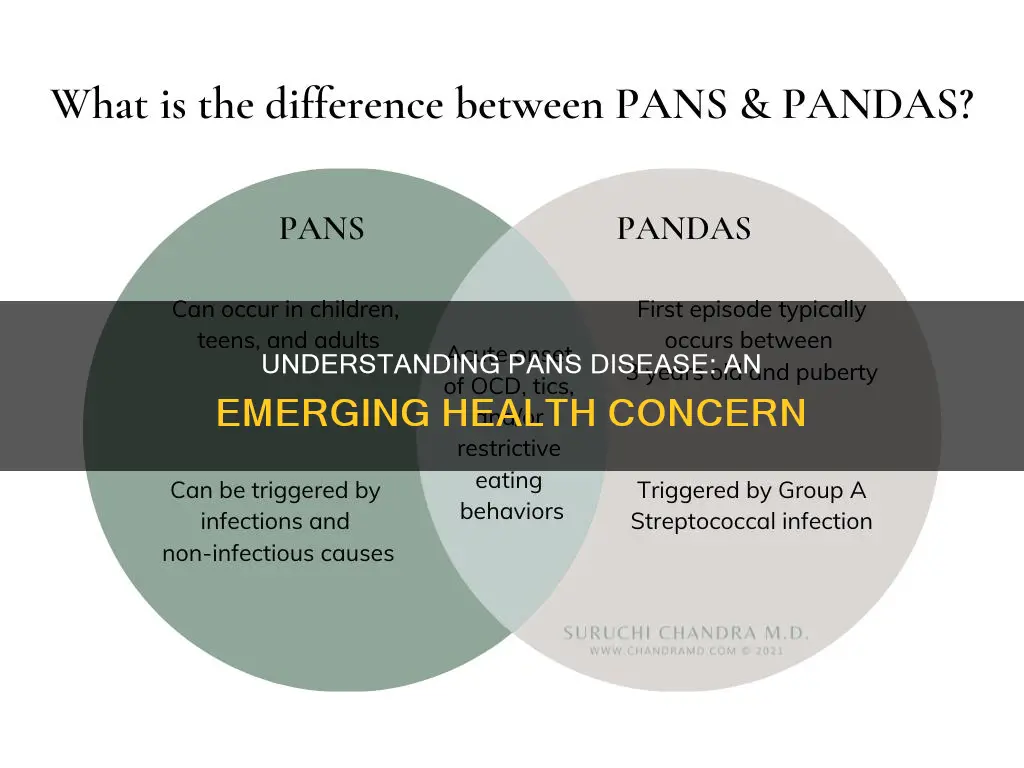 what is pans disease