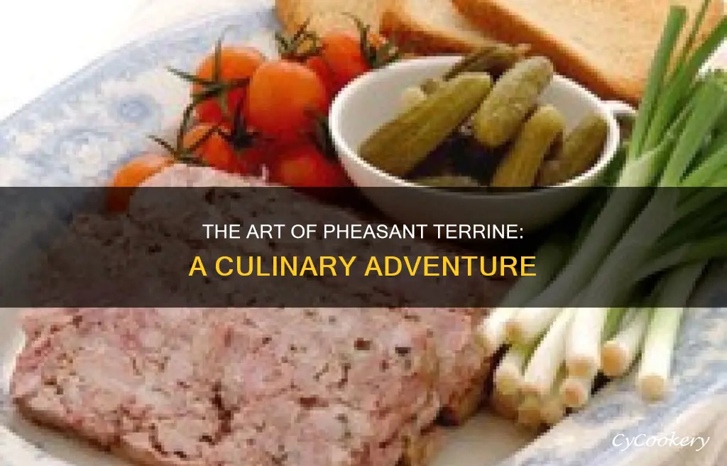 what is pheasant terrine