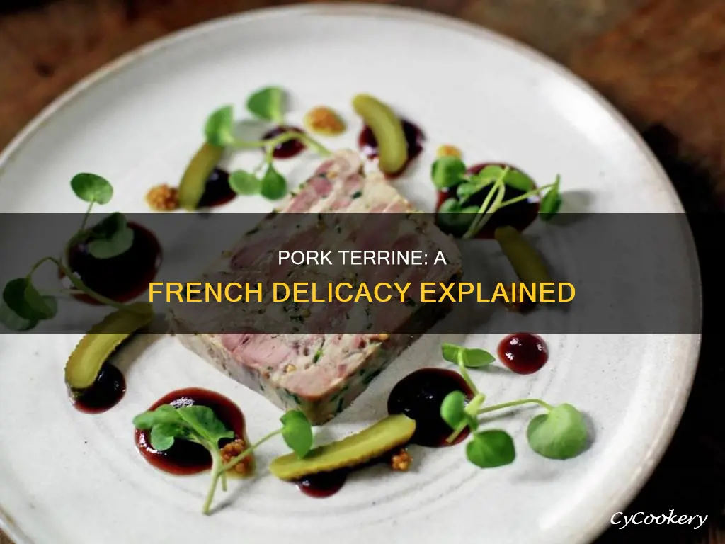 what is pork terrine