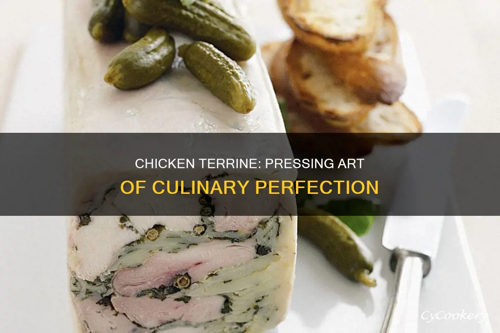 what is pressed chicken terrine