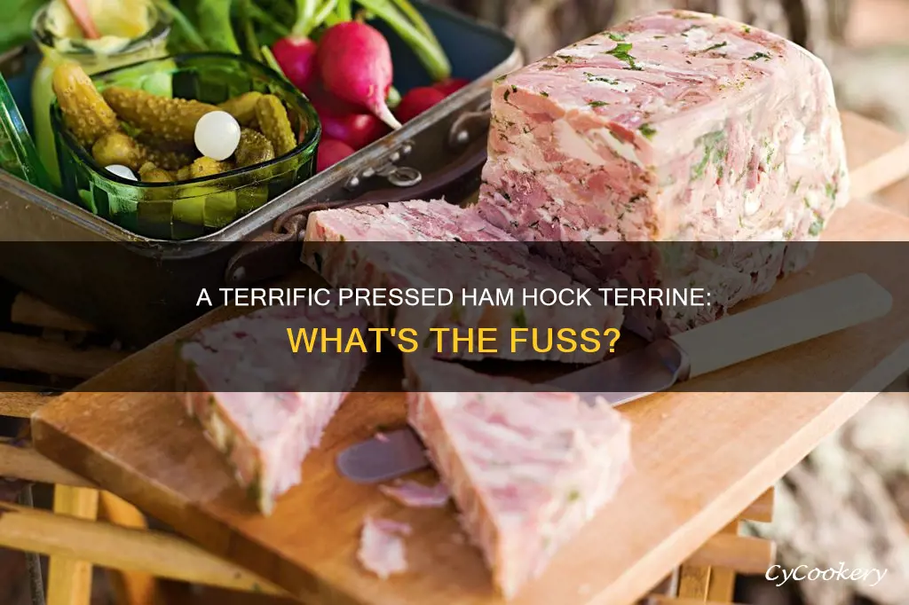 what is pressed ham hock terrine