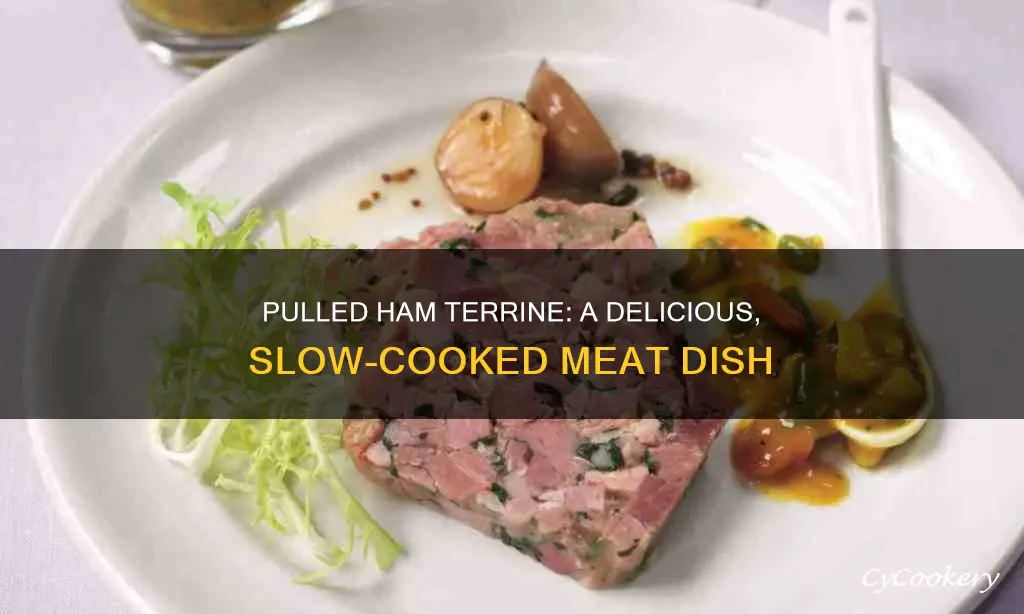 what is pulled ham terrine