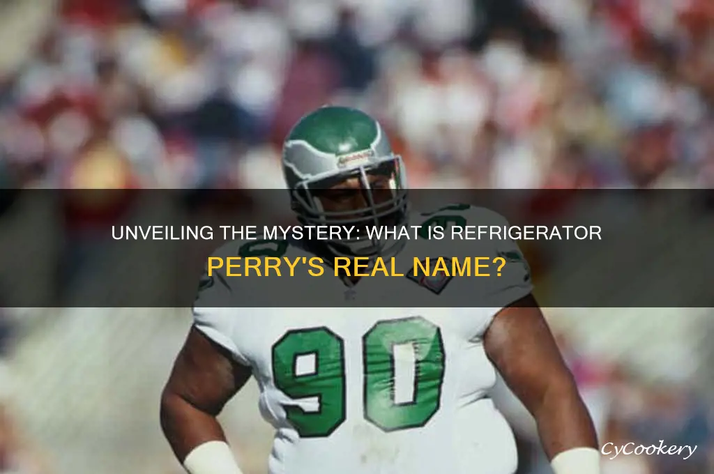 what is refrigerator perry