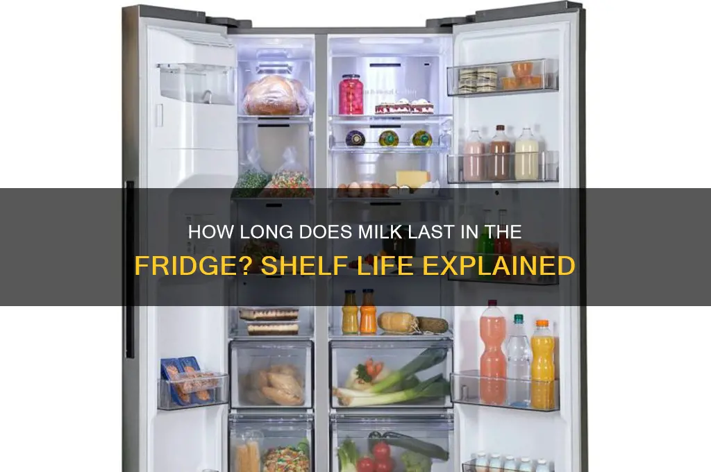what is refrigerator shelf life of milk