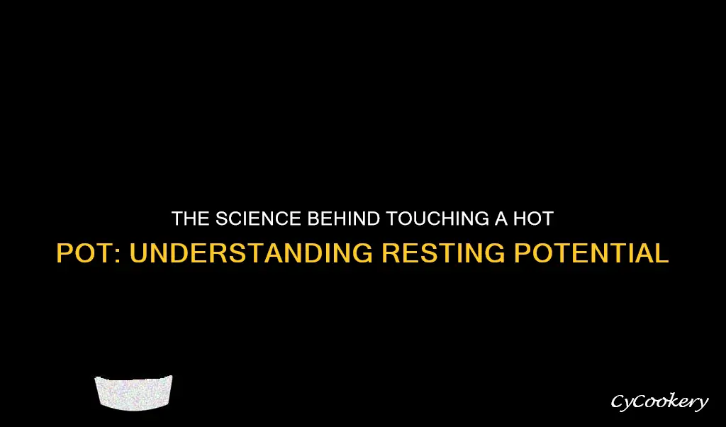 what is resting potential when touching a hot pot