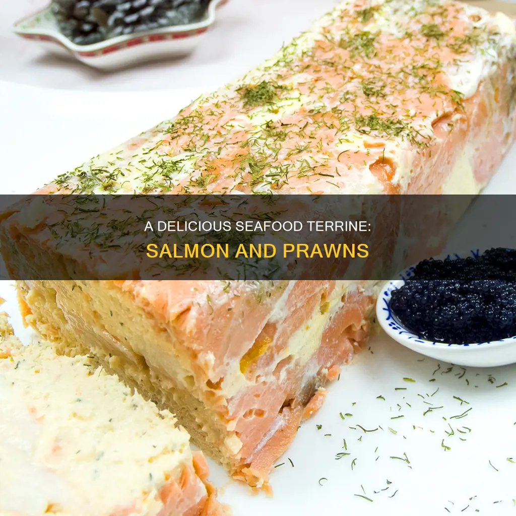 what is salmon and prawn terrine