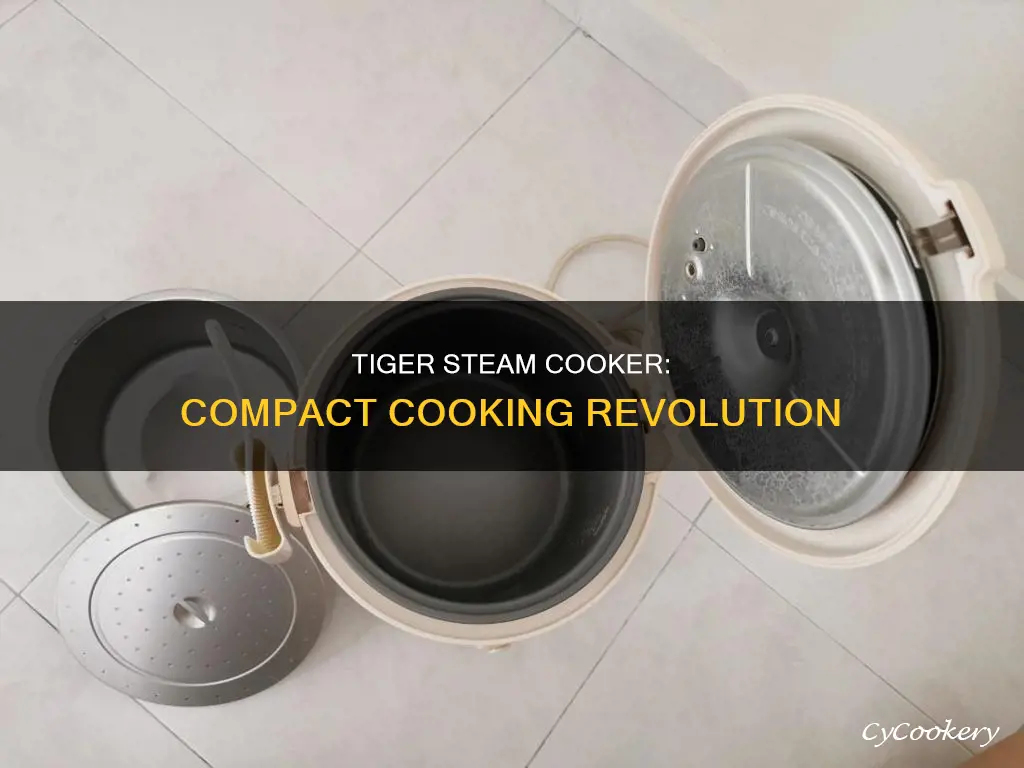 what is smallest tiger steam cooker