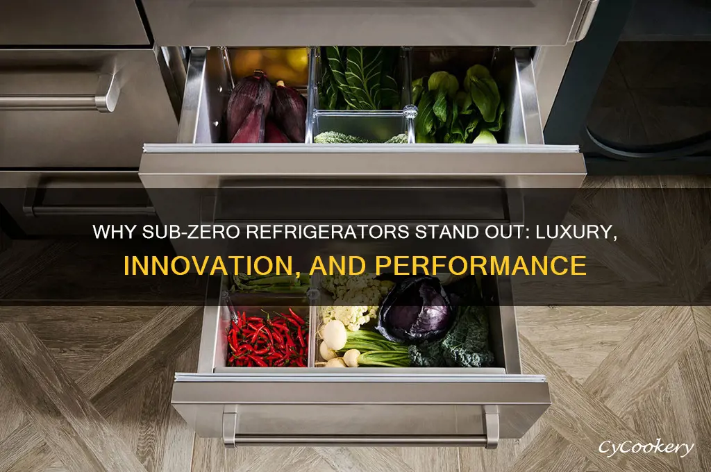 what is special about sub zero refrigerator