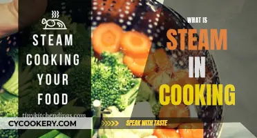 Steam Power: Revolutionizing the Cooking Experience