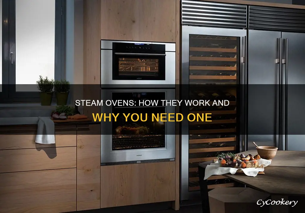 what is steam oven